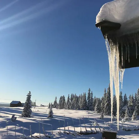 Amazing And Beautiful Feriehus Tisleidalen